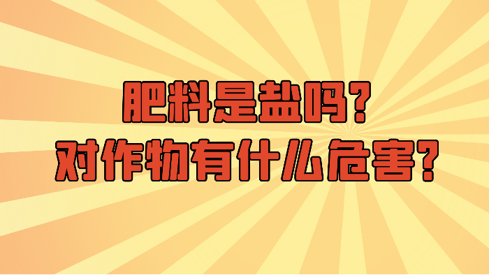 肥料是盐吗？对作物有什么危害？