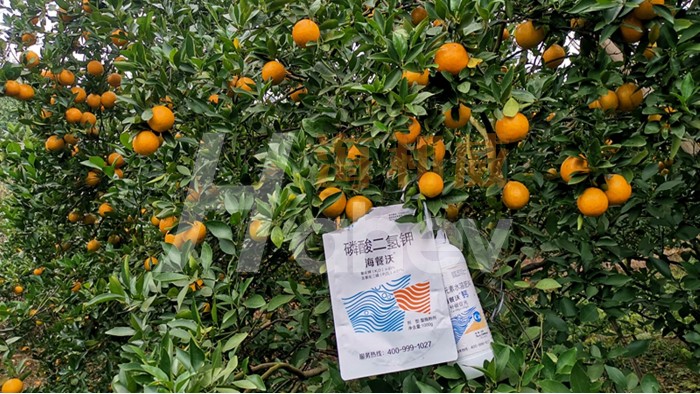 海餐沃水溶肥-柑橘