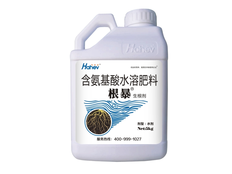 根暴正面_副本