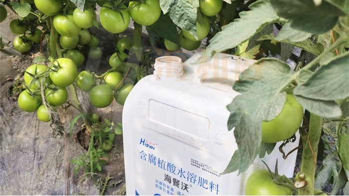 含腐植酸水溶肥料这么多，应该如何选？