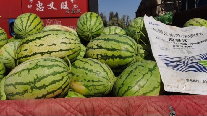 水溶肥的高效用法，精准补营养