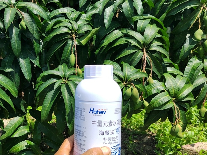 DW{MSOYBG@LPOF)LQSFDC~C