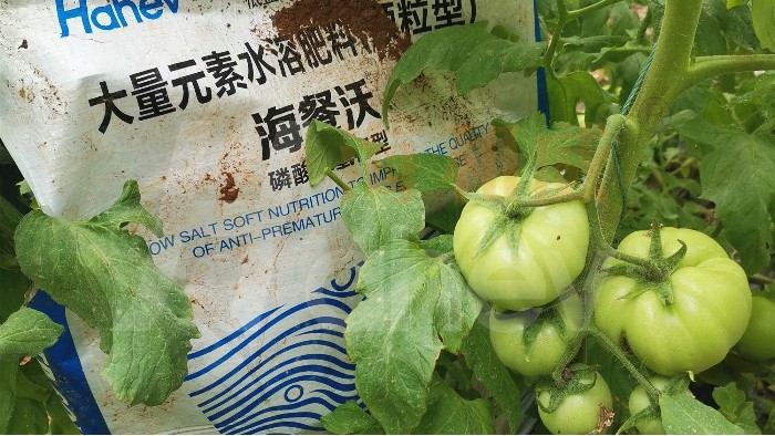 水溶肥好不好，看这几个关键点