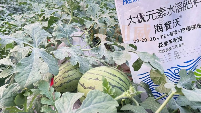 水溶肥挑选指南：好产品的三大标准！