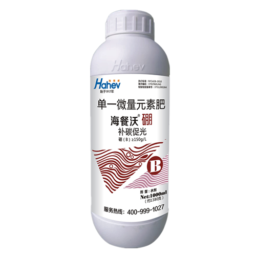 硼1000ml