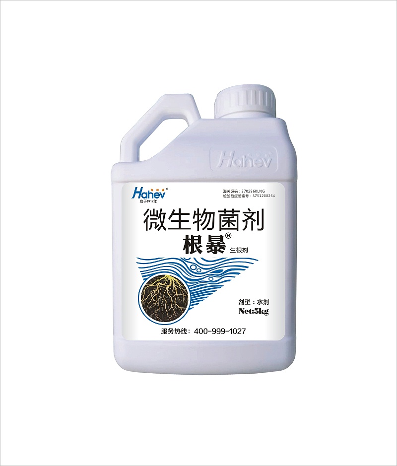 黄瓜施肥-根暴生根剂
