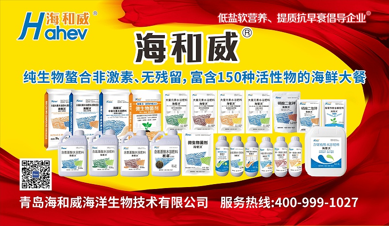 海和威产品图