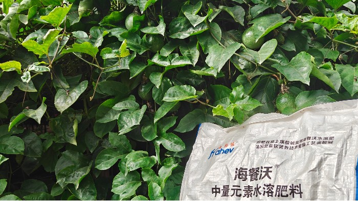 <i style='color:red'>底肥</i>为什么要用中量元素肥？